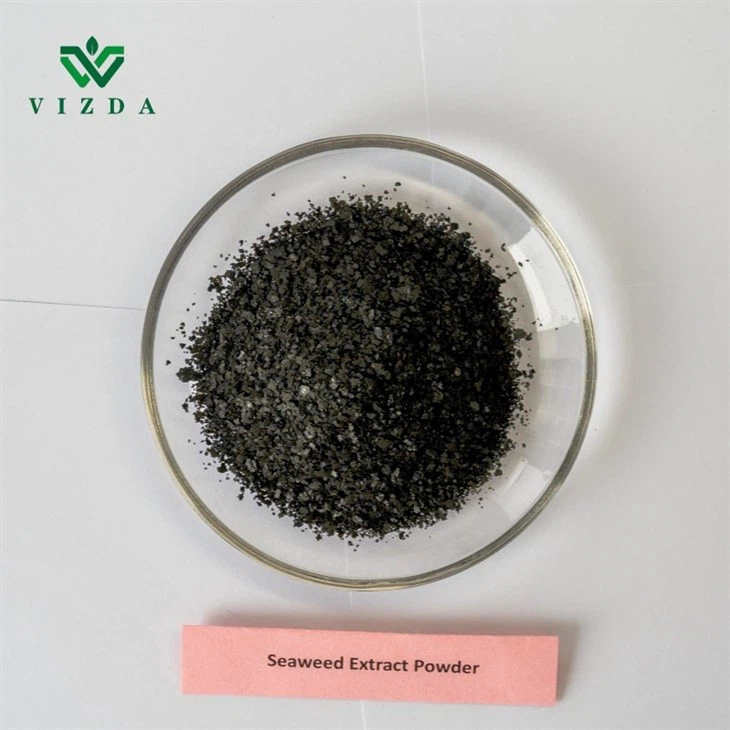 High Nutrient Fertilizer Seaweed Extract