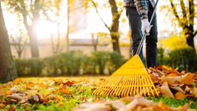 גננים פונים לכסות יבולים בסתיו הקרוב כדי לשקם את בריאות הקרקע